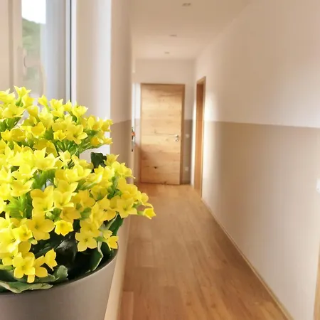 Guest house Gaestehaus Rebenhof Neustadt an der Weinstrasse