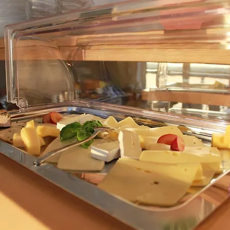 Gaestehaus Rebenhof 3* Neustadt an der Weinstraße