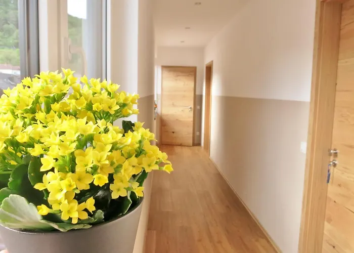 Guest house Gaestehaus Rebenhof Neustadt an der Weinstrasse