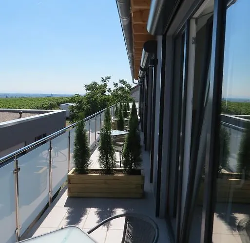 Gaestehaus Rebenhof 3*